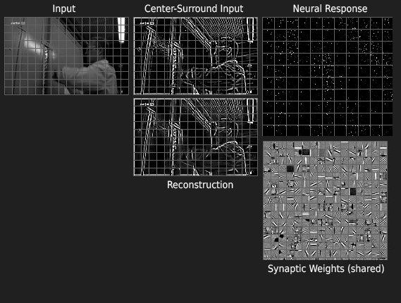 Extracted sparse features